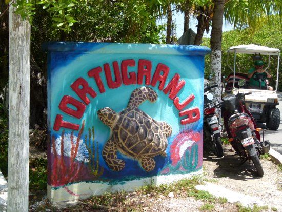 Mercado 28